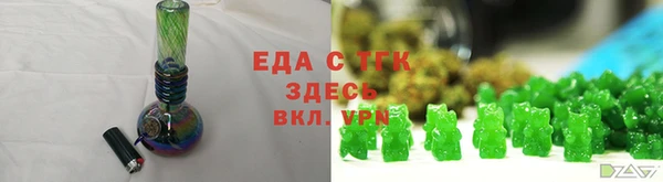индика Нягань