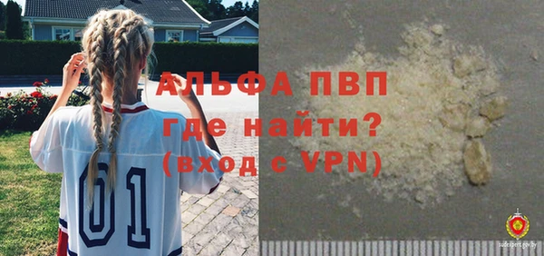 прущие грибы Весьегонск