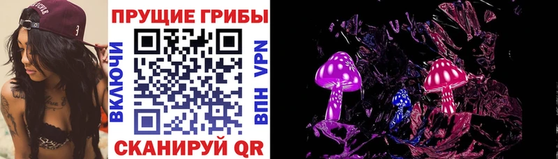 Галлюциногенные грибы прущие грибы hydra tor Кореновск