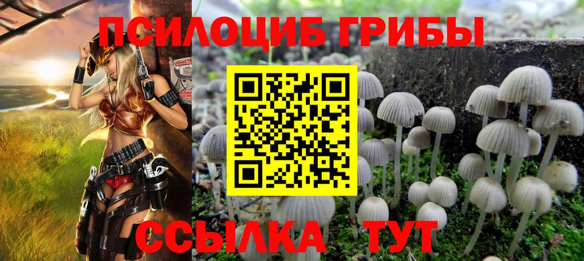 Кореновск  Галлюциногенные грибы Cubensis  Галлюциногенные грибы Psilocybine cubensis  Вход с VPN 