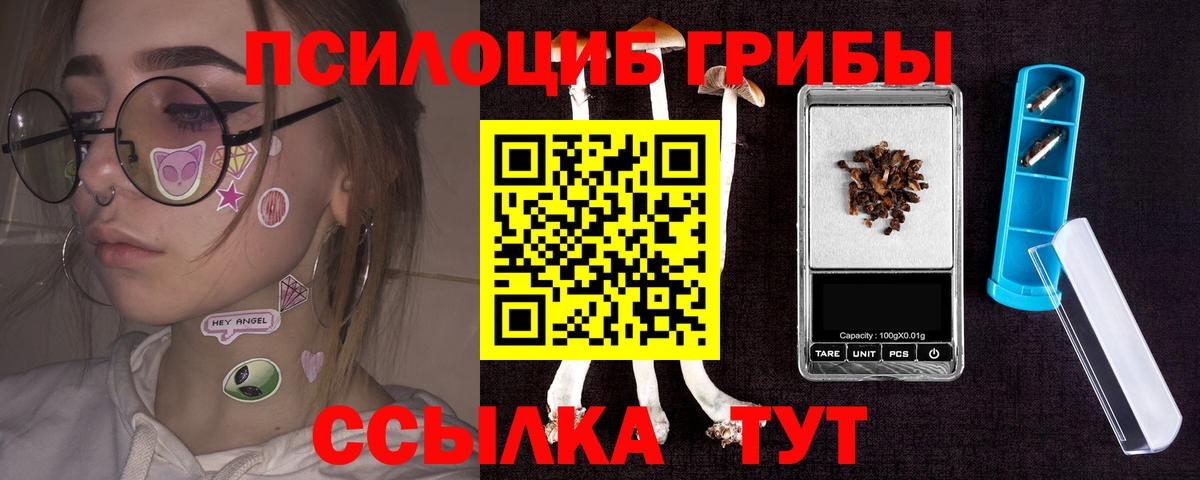 Галлюциногенные грибы Cubensis Кореновск
